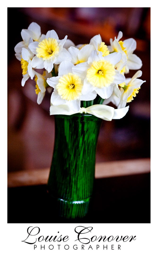 daffodil09-copy