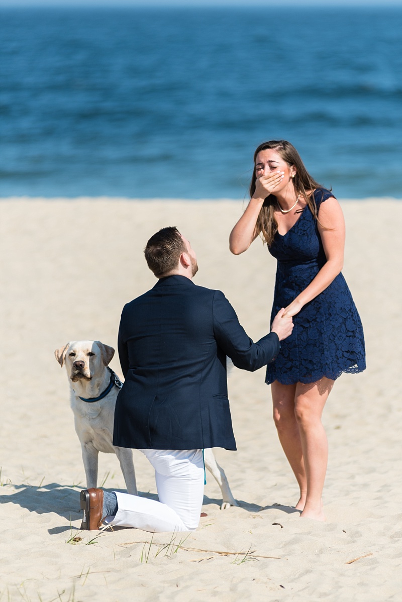 surprise beach proposal