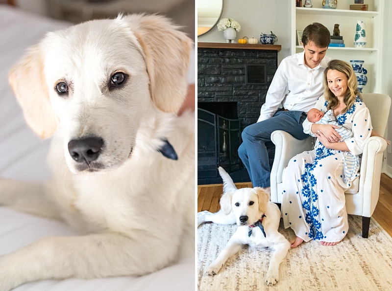 Rumson Family Baby Engagement Wedding Photographer Louise Conover
